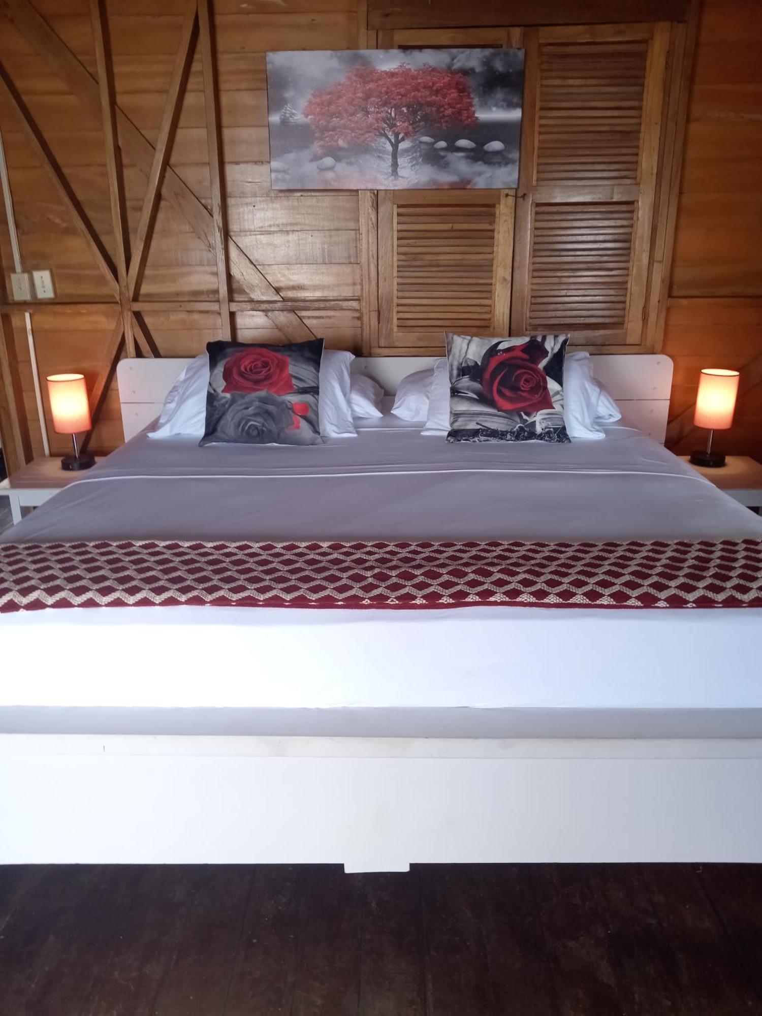 Villa Bahia Del Sol بوكاس تاون المظهر الخارجي الصورة