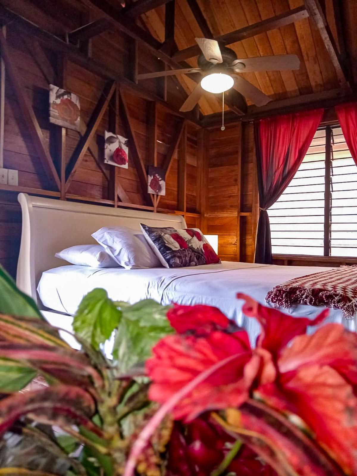 Villa Bahia Del Sol بوكاس تاون المظهر الخارجي الصورة